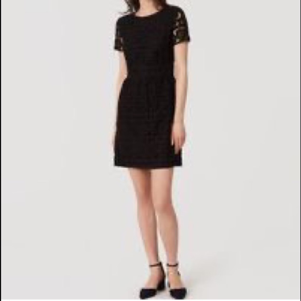 LOFT shirt sleeve lace eyelet dress